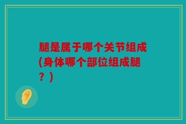 腿是属于哪个关节组成(身体哪个部位组成腿？)