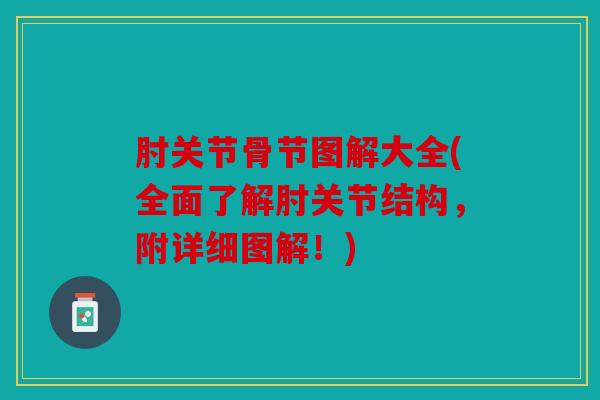 肘关节骨节图解大全(全面了解肘关节结构，附详细图解！)