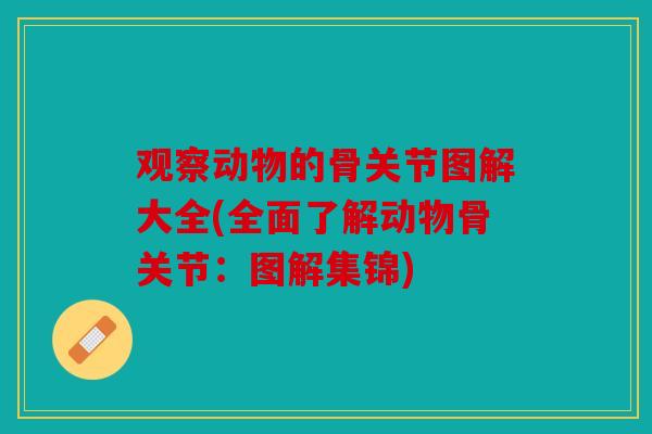 观察动物的骨关节图解大全(全面了解动物骨关节：图解集锦)