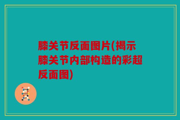 膝关节反面图片(揭示膝关节内部构造的彩超反面图)
