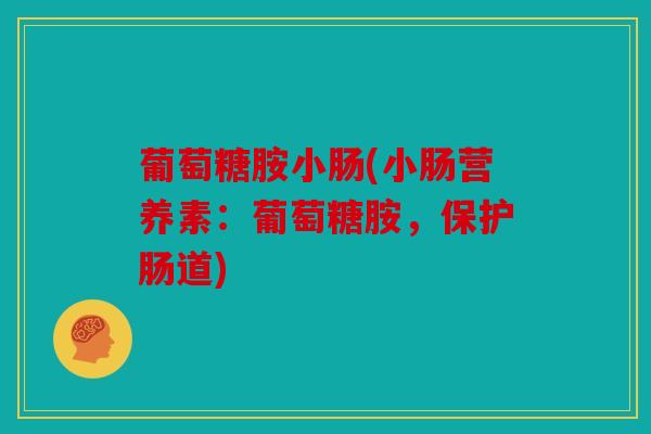 葡萄糖胺小肠(小肠营养素：葡萄糖胺，保护肠道)