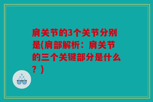 肩关节的3个关节分别是(肩部解析：肩关节的三个关键部分是什么？)