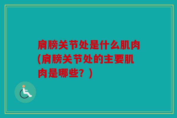 肩膀关节处是什么肌肉(肩膀关节处的主要肌肉是哪些？)