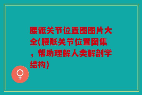 腰骶关节位置图图片大全(腰骶关节位置图集，帮助理解人类解剖学结构)