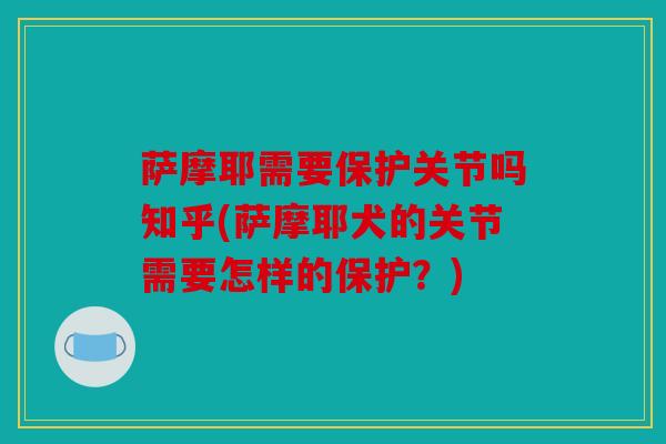 萨摩耶需要保护关节吗知乎(萨摩耶犬的关节需要怎样的保护?)-第1张图片-关节骑士 萨摩耶需要保护关节吗知乎(萨摩耶犬的关节需要怎样的保护?)-第1张图片-关节骑士