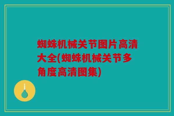 蜘蛛机械关节图片高清大全(蜘蛛机械关节多角度高清图集)