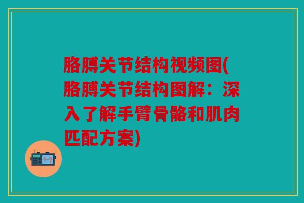 胳膊关节结构视频图(胳膊关节结构图解：深入了解手臂骨骼和肌肉匹配方案)