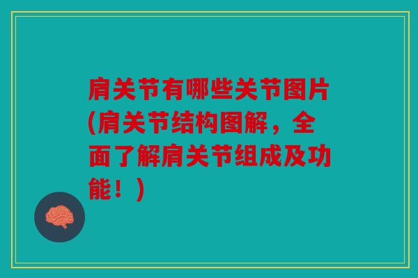 肩关节有哪些关节图片(肩关节结构图解，全面了解肩关节组成及功能！)