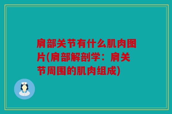 肩部关节有什么肌肉图片(肩部解剖学：肩关节周围的肌肉组成)