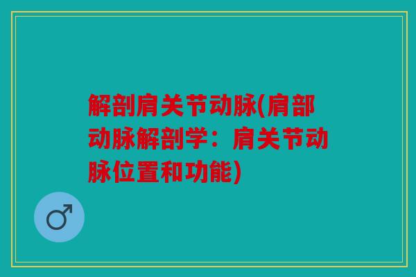 解剖肩关节动脉(肩部动脉解剖学：肩关节动脉位置和功能)