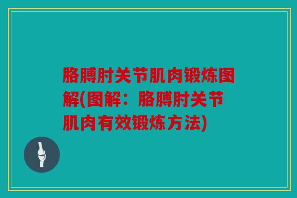 胳膊肘关节肌肉锻炼图解(图解:胳膊肘关节肌肉有效锻炼方法)-第1张图片-关节骑士 胳膊肘关节肌肉锻炼图解(图解:胳膊肘关节肌肉有效锻炼方法)-第1张图片-关节骑士