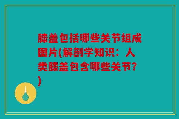 膝盖包括哪些关节组成图片(解剖学知识：人类膝盖包含哪些关节？)