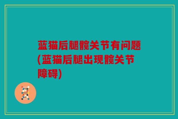 蓝猫后腿髋关节有问题(蓝猫后腿出现髋关节障碍)