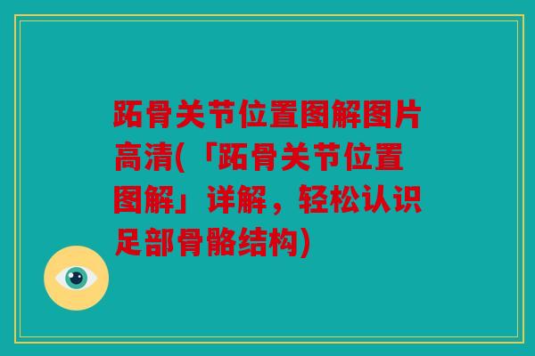 跖骨关节位置图解图片高清(「跖骨关节位置图解」详解，轻松认识足部骨骼结构)