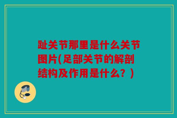 趾关节那里是什么关节图片(足部关节的解剖结构及作用是什么？)