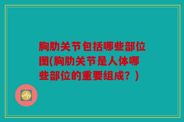 胸肋关节包括哪些部位图(胸肋关节是人体哪些部位的重要组成？)