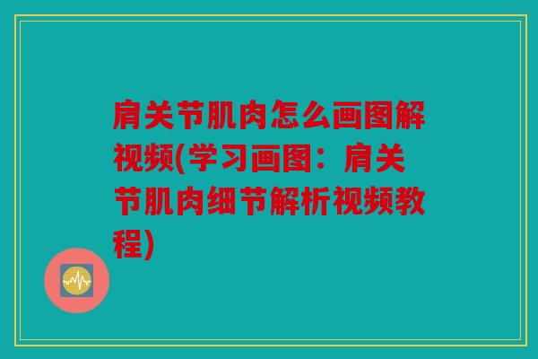 肩关节肌肉怎么画图解视频(学习画图：肩关节肌肉细节解析视频教程)