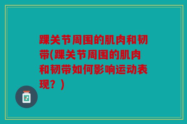 踝关节周围的肌肉和韧带(踝关节周围的肌肉和韧带如何影响运动表现？)