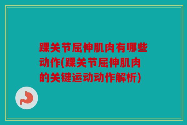 踝关节屈伸肌肉有哪些动作(踝关节屈伸肌肉的关键运动动作解析)-第1张图片-关节骑士 踝关节屈伸肌肉有哪些动作(踝关节屈伸肌肉的关键运动动作解析)-第1张图片-关节骑士
