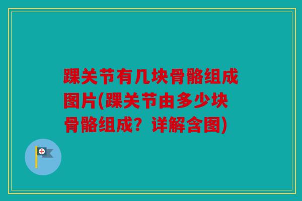 踝关节有几块骨骼组成图片(踝关节由多少块骨骼组成？详解含图)