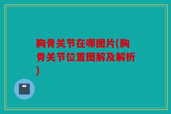 胸骨关节在哪图片(胸骨关节位置图解及解析)