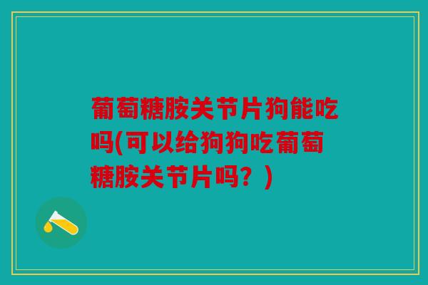 葡萄糖胺关节片狗能吃吗(可以给狗狗吃葡萄糖胺关节片吗？)