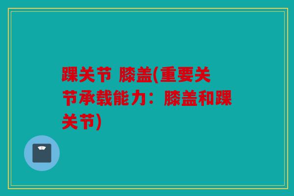 踝关节 膝盖(重要关节承载能力：膝盖和踝关节)