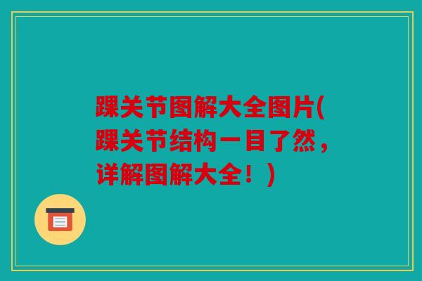 踝关节图解大全图片(踝关节结构一目了然，详解图解大全！)