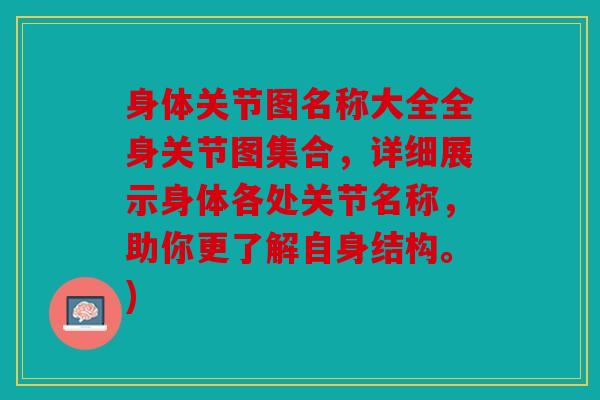 身体关节图名称大全全身关节图集合，详细展示身体各处关节名称，助你更了解自身结构。)