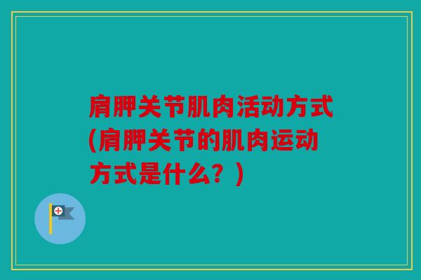 肩胛关节肌肉活动方式(肩胛关节的肌肉运动方式是什么？)
