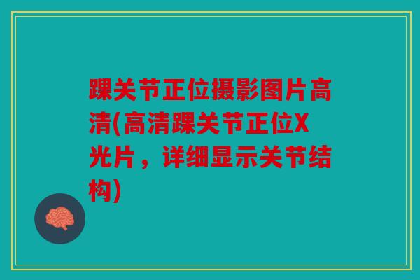 踝关节正位摄影图片高清(高清踝关节正位X光片，详细显示关节结构)