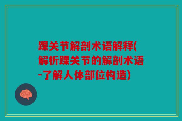 踝关节解剖术语解释(解析踝关节的解剖术语-了解人体部位构造)