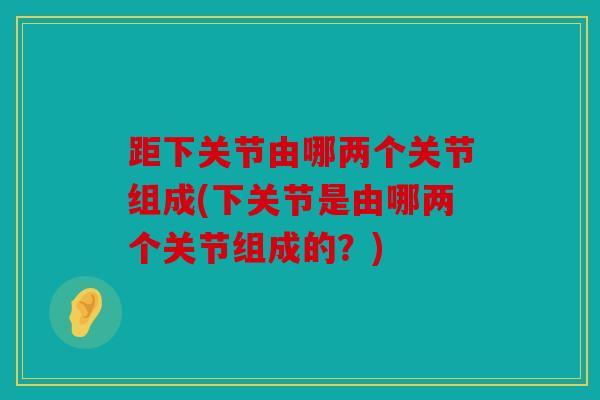 距下关节由哪两个关节组成(下关节是由哪两个关节组成的？)
