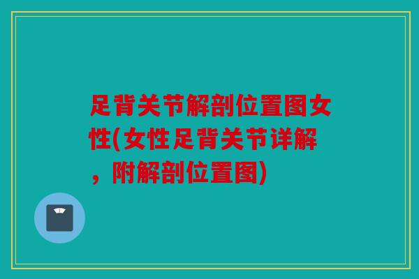 足背关节解剖位置图女性(女性足背关节详解，附解剖位置图)