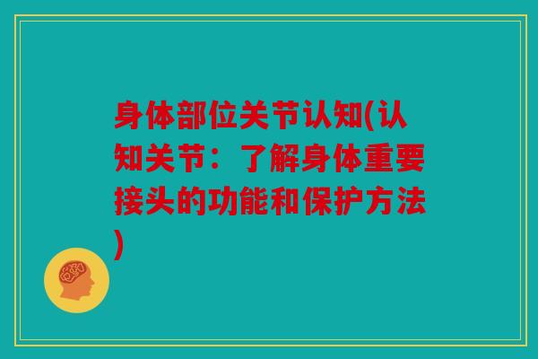 身体部位关节认知(认知关节:了解身体重要接头的功能和保护方法)-第1张图片-关节骑士 身体部位关节认知(认知关节:了解身体重要接头的功能和保护方法)-第1张图片-关节骑士