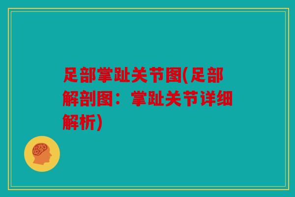足部掌趾关节图(足部解剖图：掌趾关节详细解析)