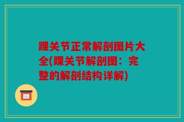 踝关节正常解剖图片大全(踝关节解剖图：完整的解剖结构详解)