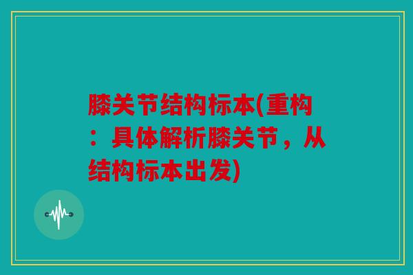 膝关节结构标本(重构：具体解析膝关节，从结构标本出发)