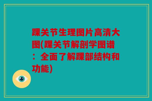 踝关节生理图片高清大图(踝关节解剖学图谱：全面了解踝部结构和功能)