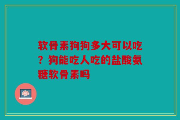 软骨素狗狗多大可以吃?狗能吃人吃的盐酸氨糖软骨素吗-第1张图片-关节骑士 软骨素狗狗多大可以吃?狗能吃人吃的盐酸氨糖软骨素吗-第1张图片-关节骑士
