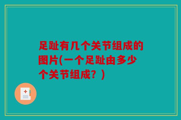 足趾有几个关节组成的图片(一个足趾由多少个关节组成？)