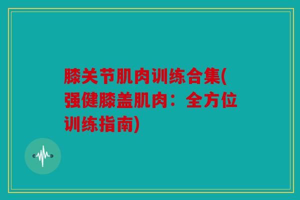 膝关节肌肉训练合集(强健膝盖肌肉：全方位训练指南)