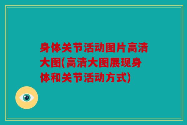 身体关节活动图片高清大图(高清大图展现身体和关节活动方式)