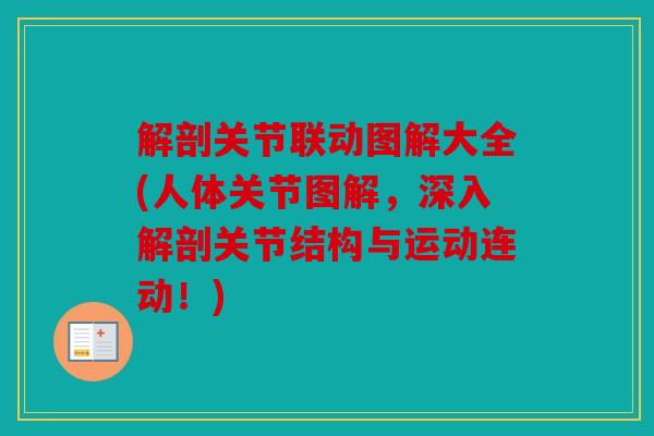 解剖关节联动图解大全(人体关节图解，深入解剖关节结构与运动连动！)-第1张图片-关节骑士