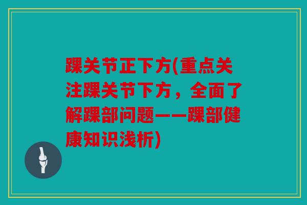 踝关节正下方(重点关注踝关节下方，全面了解踝部问题——踝部健康知识浅析)