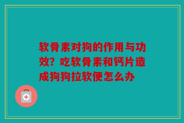 软骨素对狗的作用与功效？吃软骨素和钙片造成狗狗拉软便怎么办