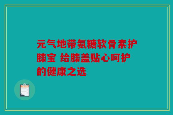 元气地带氨糖软骨素护膝宝 给膝盖贴心呵护的健康之选