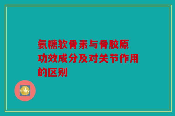氨糖软骨素与骨胶原 功效成分及对关节作用的区别-第1张图片-关节骑士 氨糖软骨素与骨胶原 功效成分及对关节作用的区别-第1张图片-关节骑士