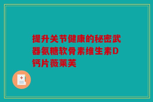 提升关节健康的秘密武器氨糖软骨素维生素D钙片薇莱芙-第1张图片-关节骑士 提升关节健康的秘密武器氨糖软骨素维生素D钙片薇莱芙-第1张图片-关节骑士