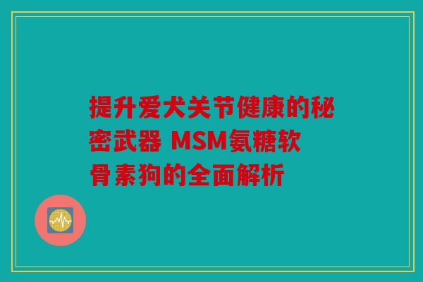 提升爱犬关节健康的秘密武器 MSM氨糖软骨素狗的全面解析